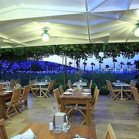 Catamaran 2*